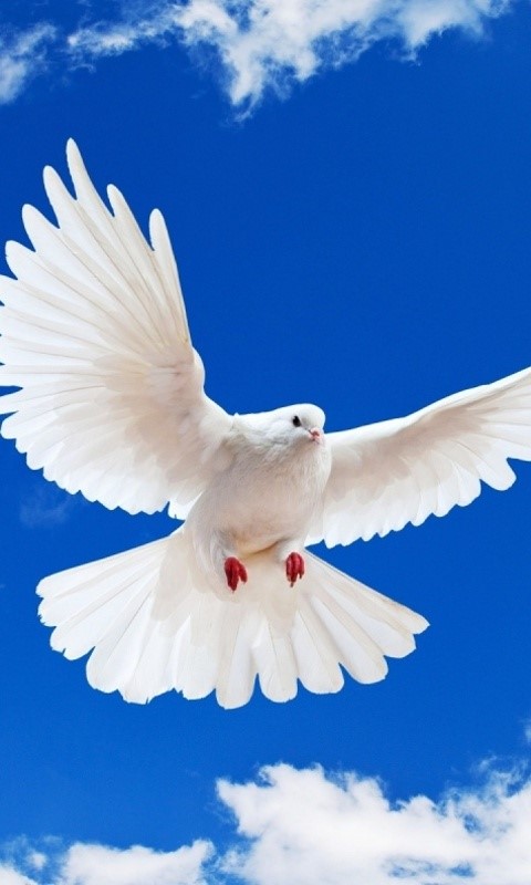 Lucrarea Duhul Sfânt în Vechiul Testament