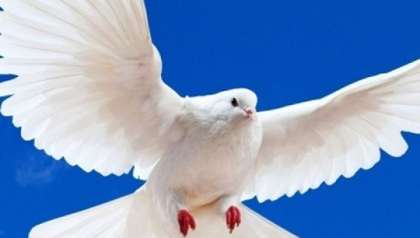 Lucrarea Duhul Sfânt în Vechiul Testament