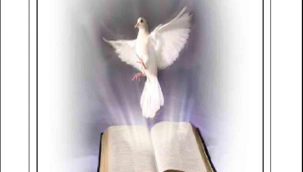 Sapte pasi pe calea uceniciei