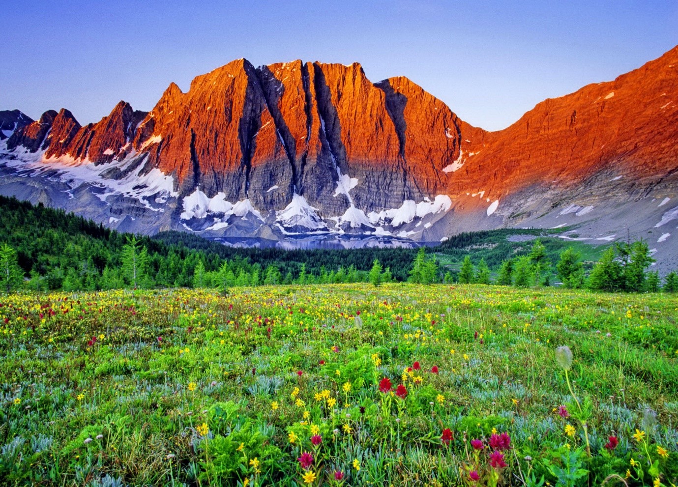 Daţi lui Dumnezeu ce este al lui Dumnezeu!