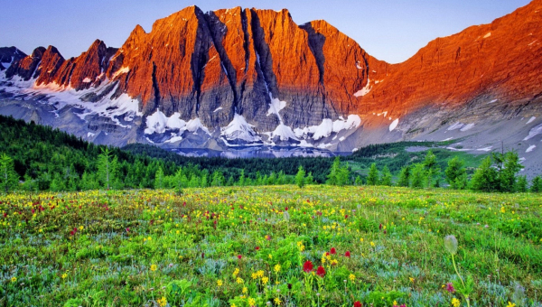 Daţi lui Dumnezeu ce este al lui Dumnezeu!