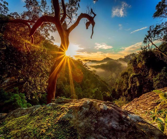 Pilda smochinul neroditor 