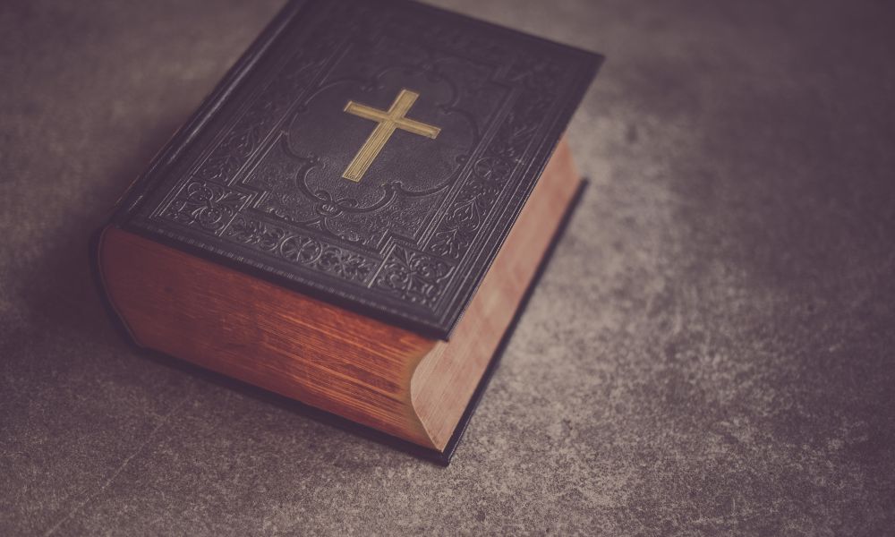 This image for Image Layouts addon