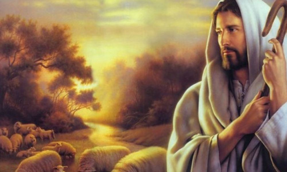 This image for Image Layouts addon