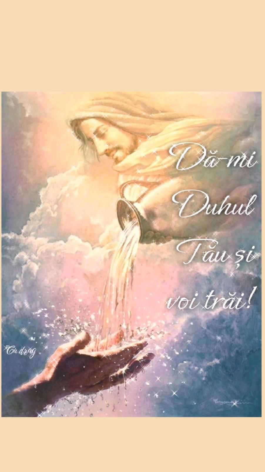 23. Viata din belșug 1