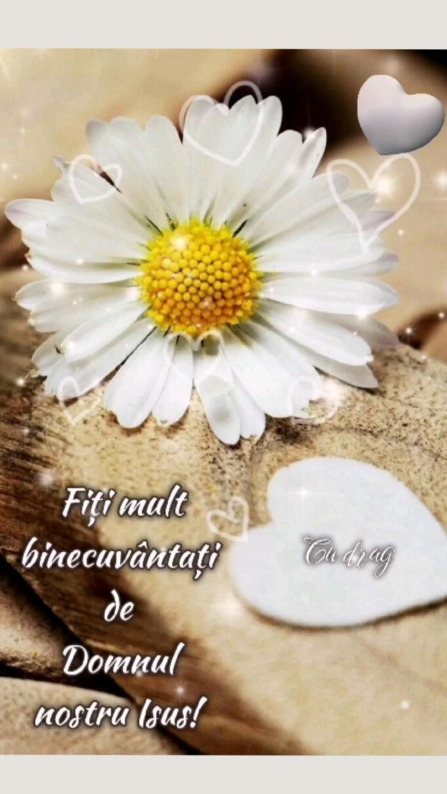 1. Urare (1)