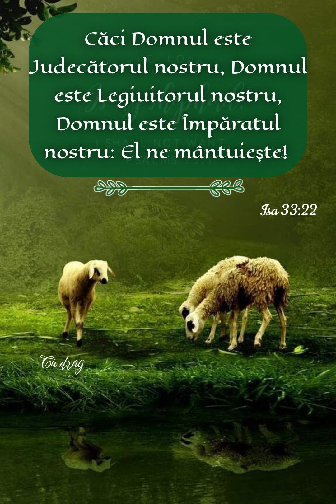 15. Mântuitorul