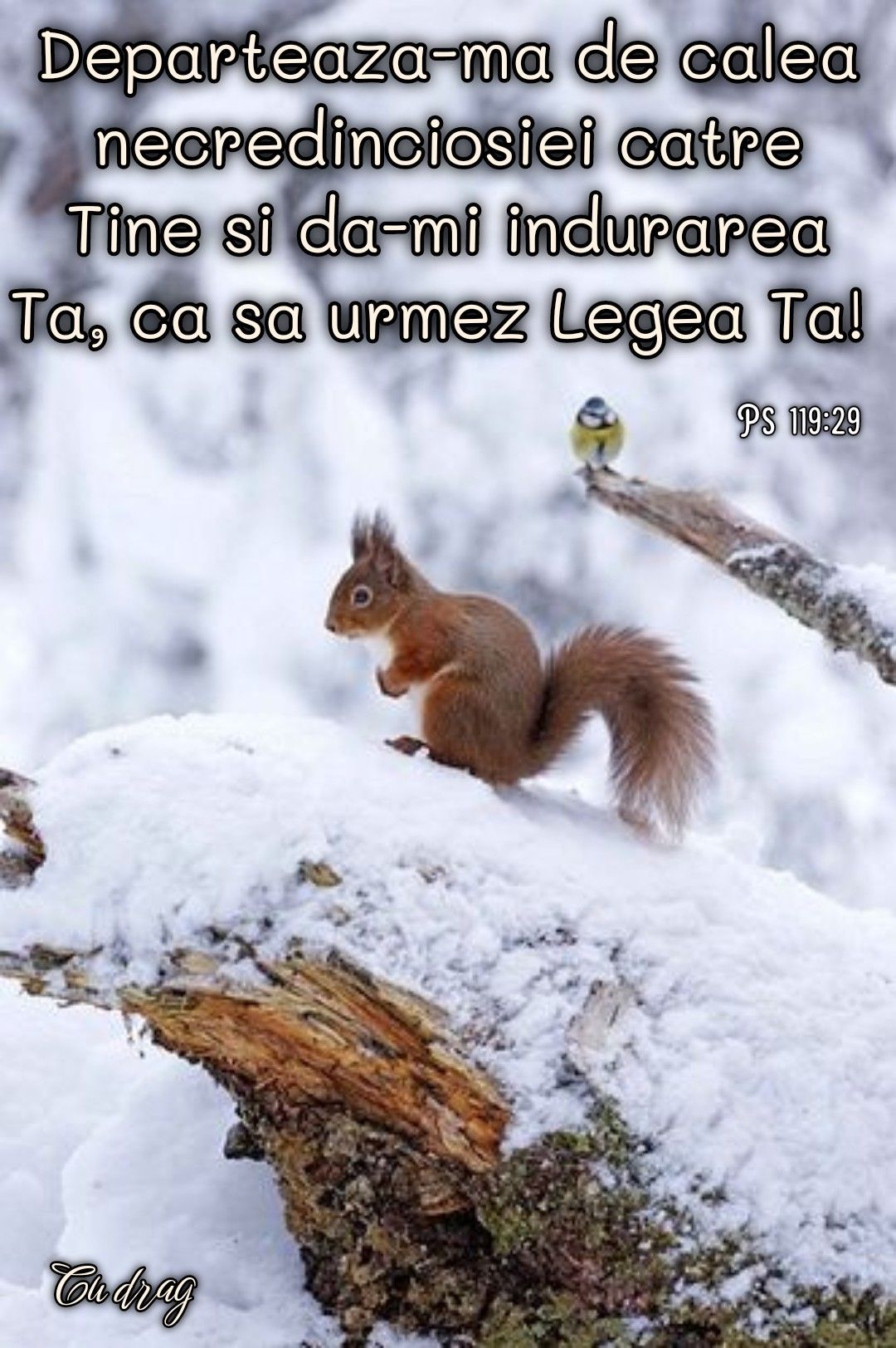 17. Indurarea Ta