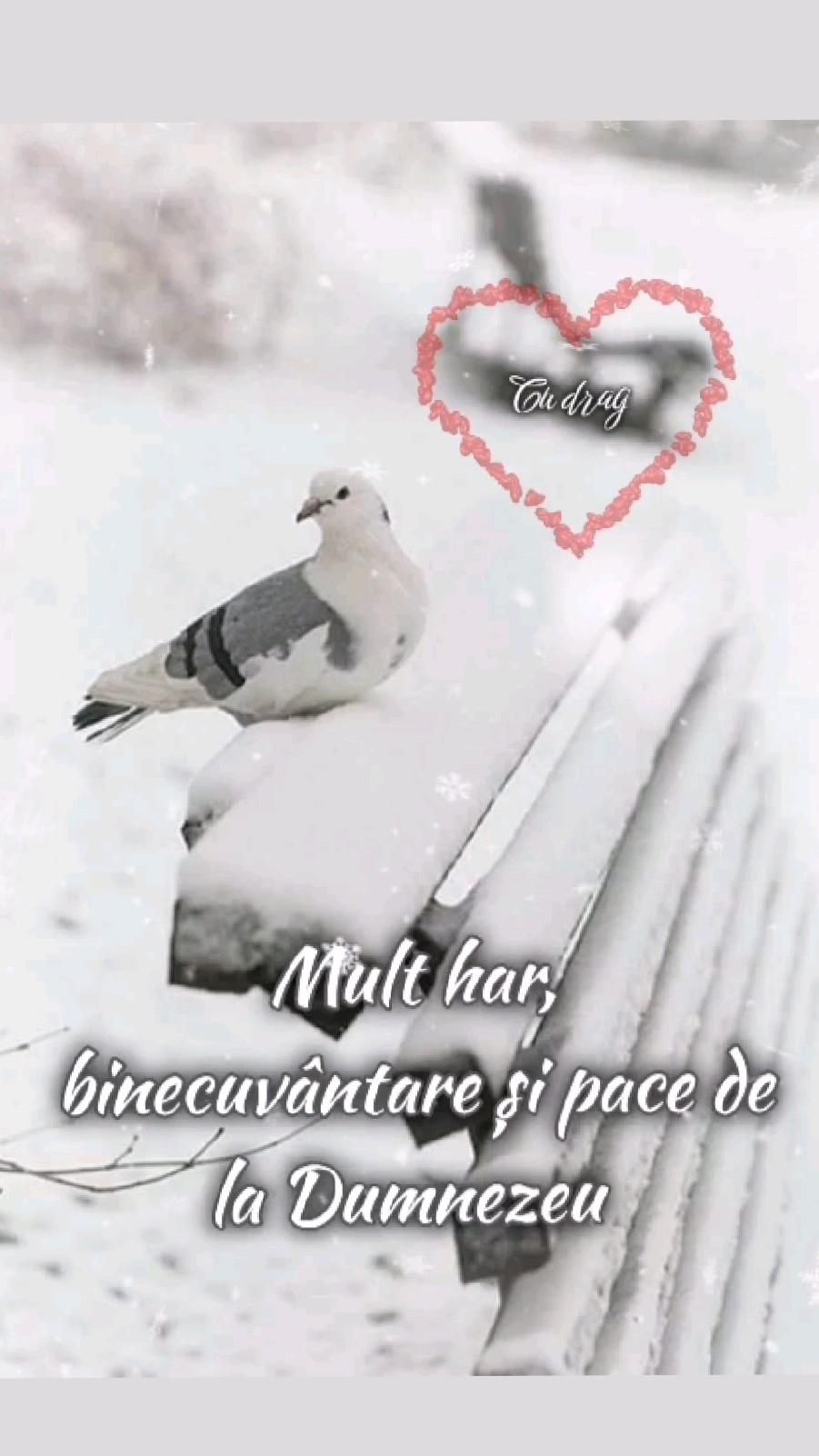 2. Urare (2)