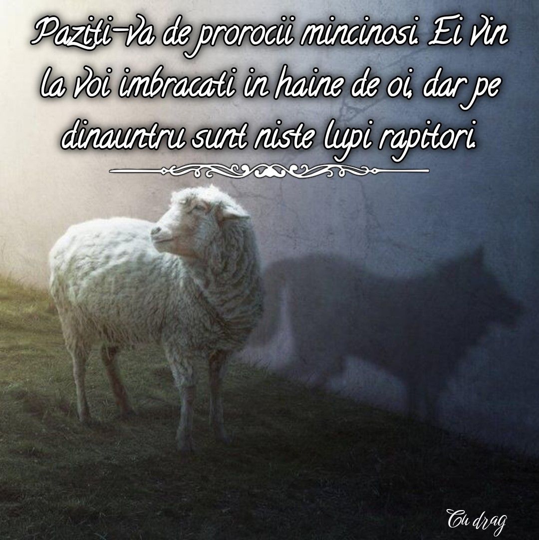 21. Lupi rapitori