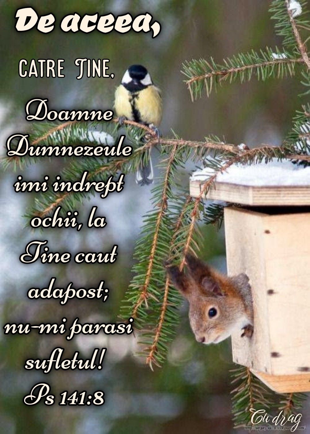 23. Adapost