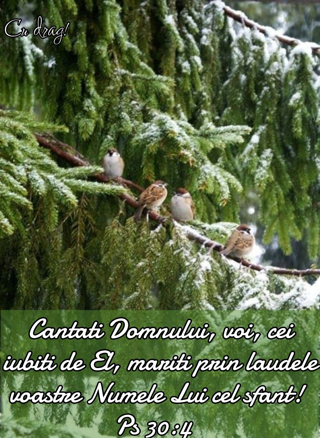 24. Verset lauda