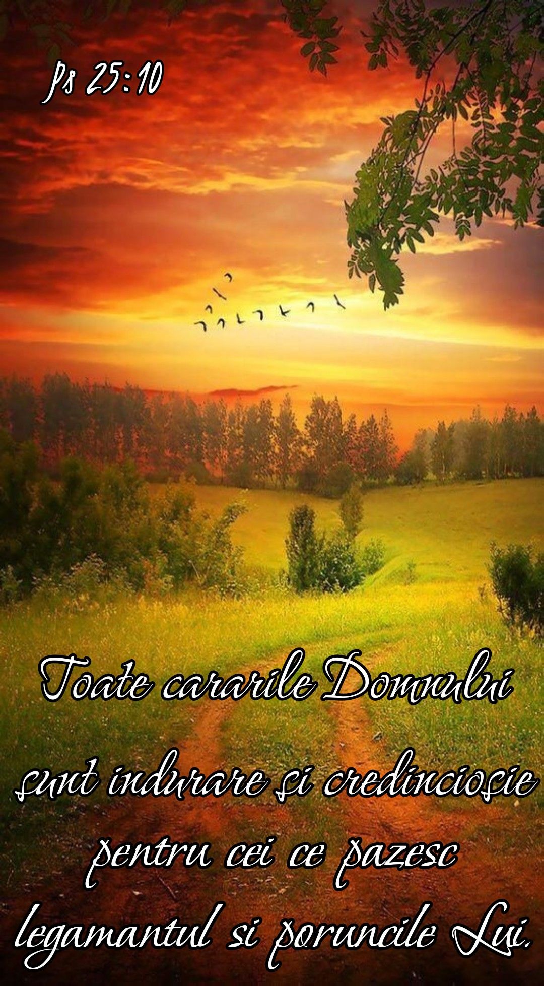 25. Verset Psalmi