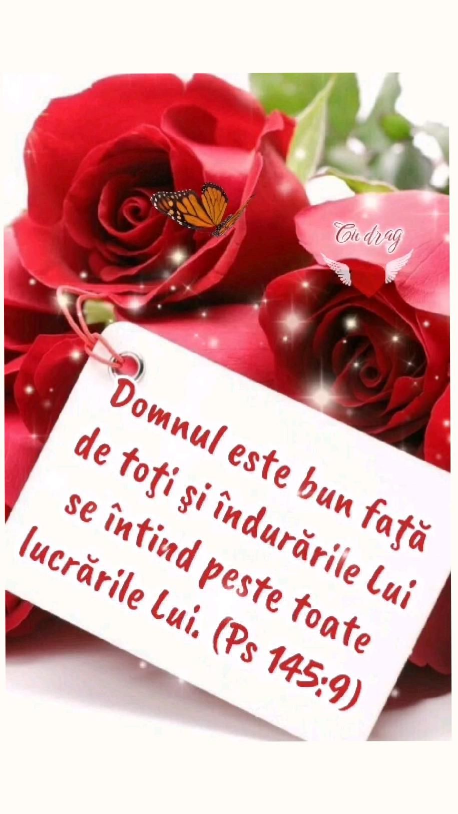 4. Verset (4)