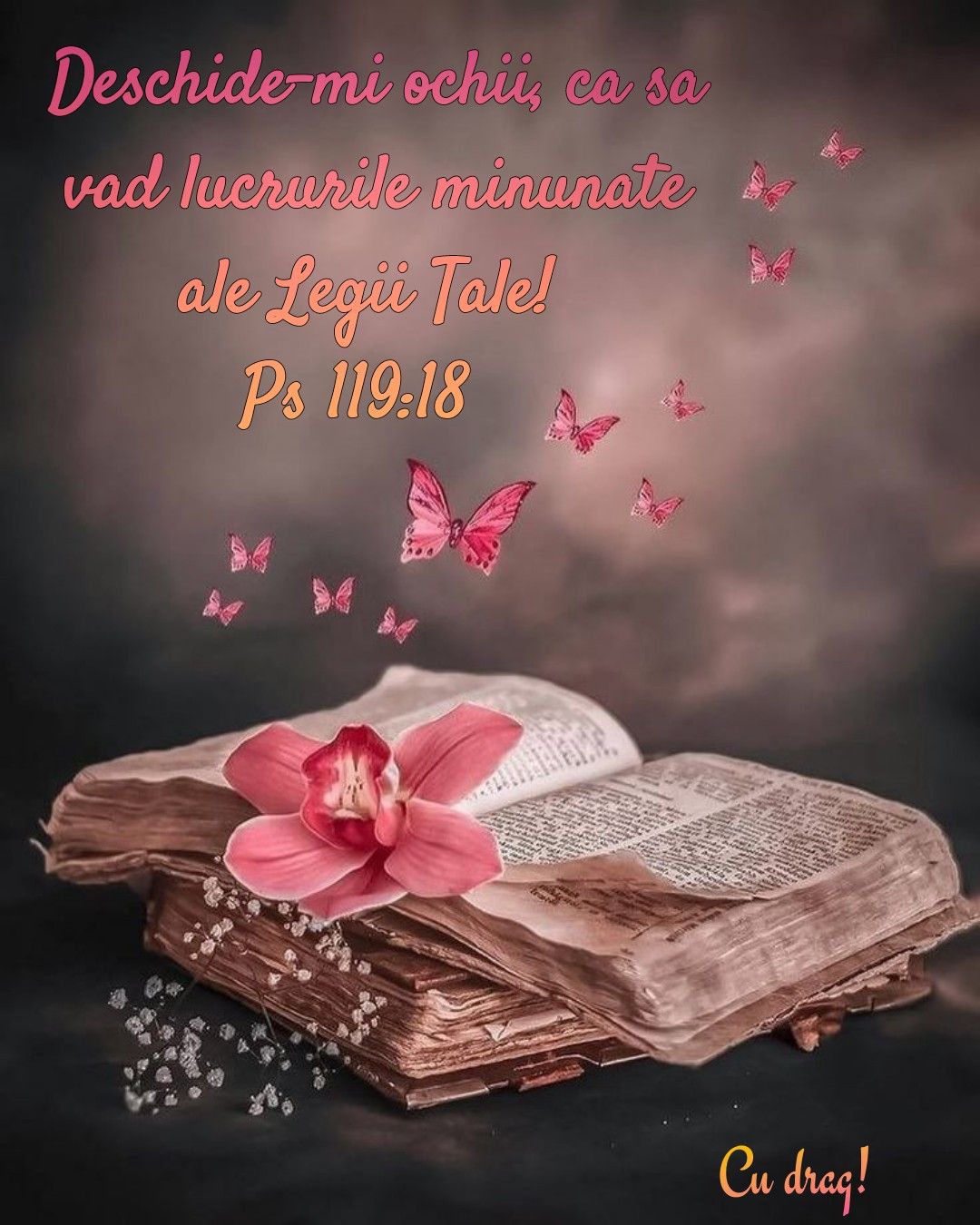 Legea Domnului