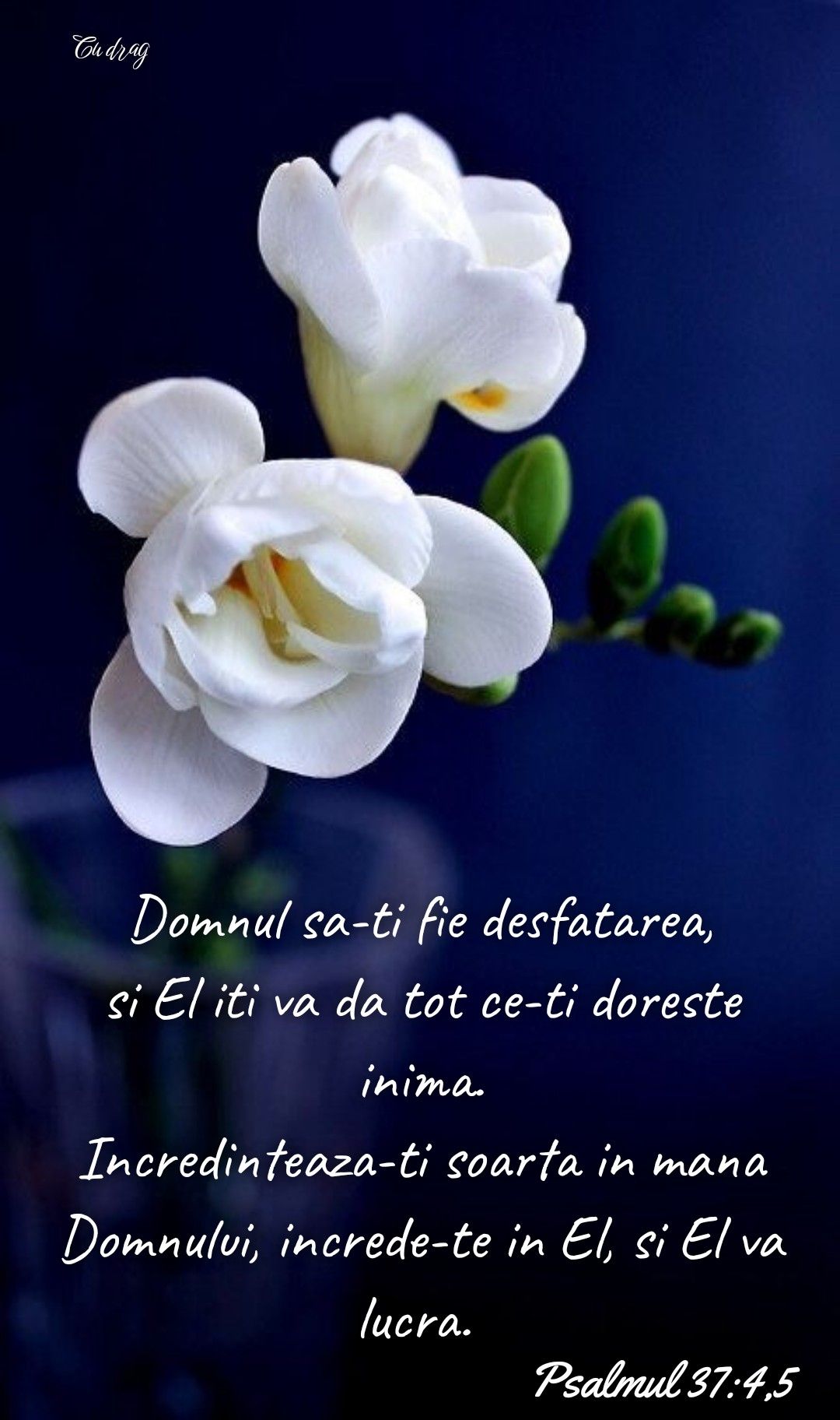 Verset (2)
