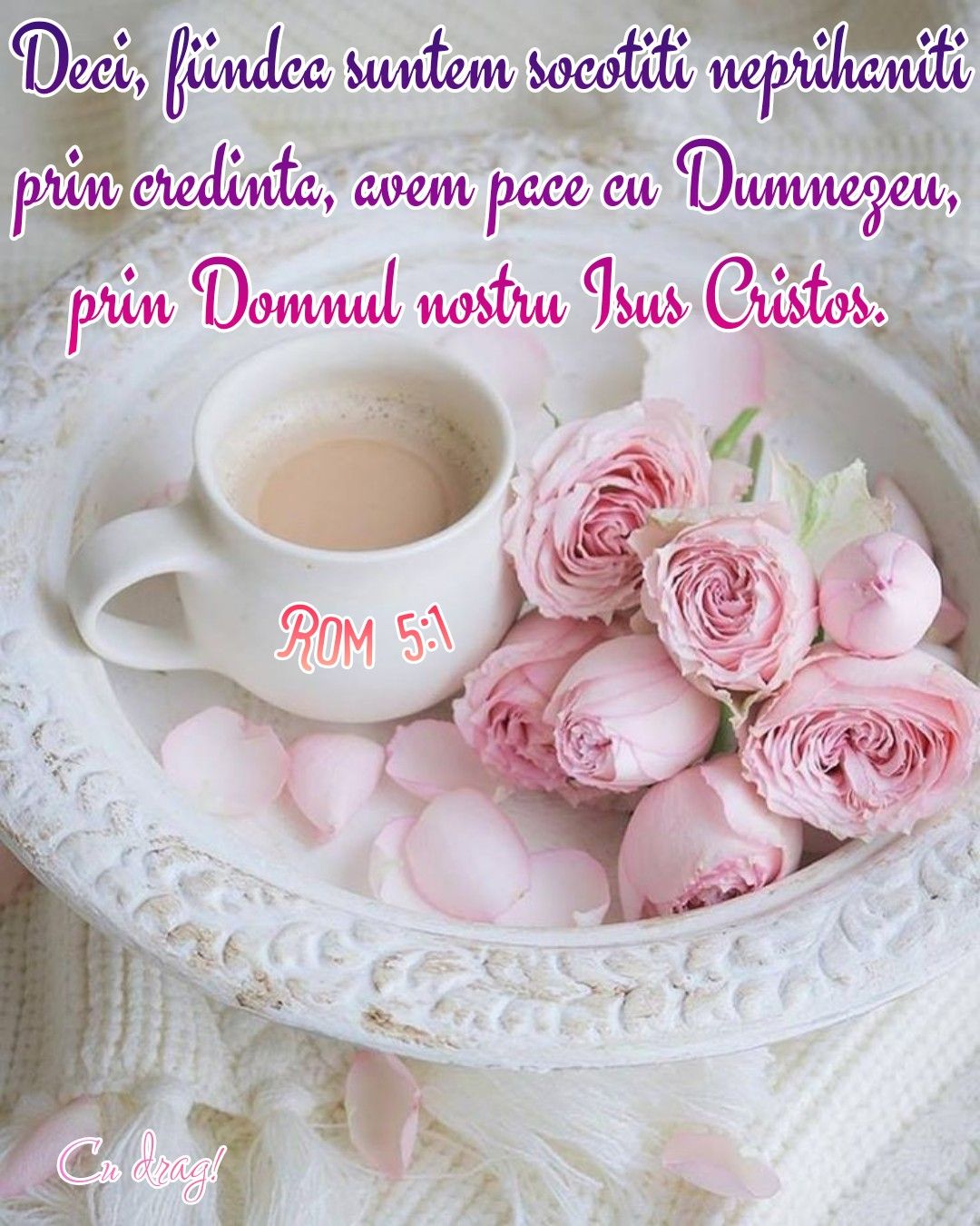 Verset (24)