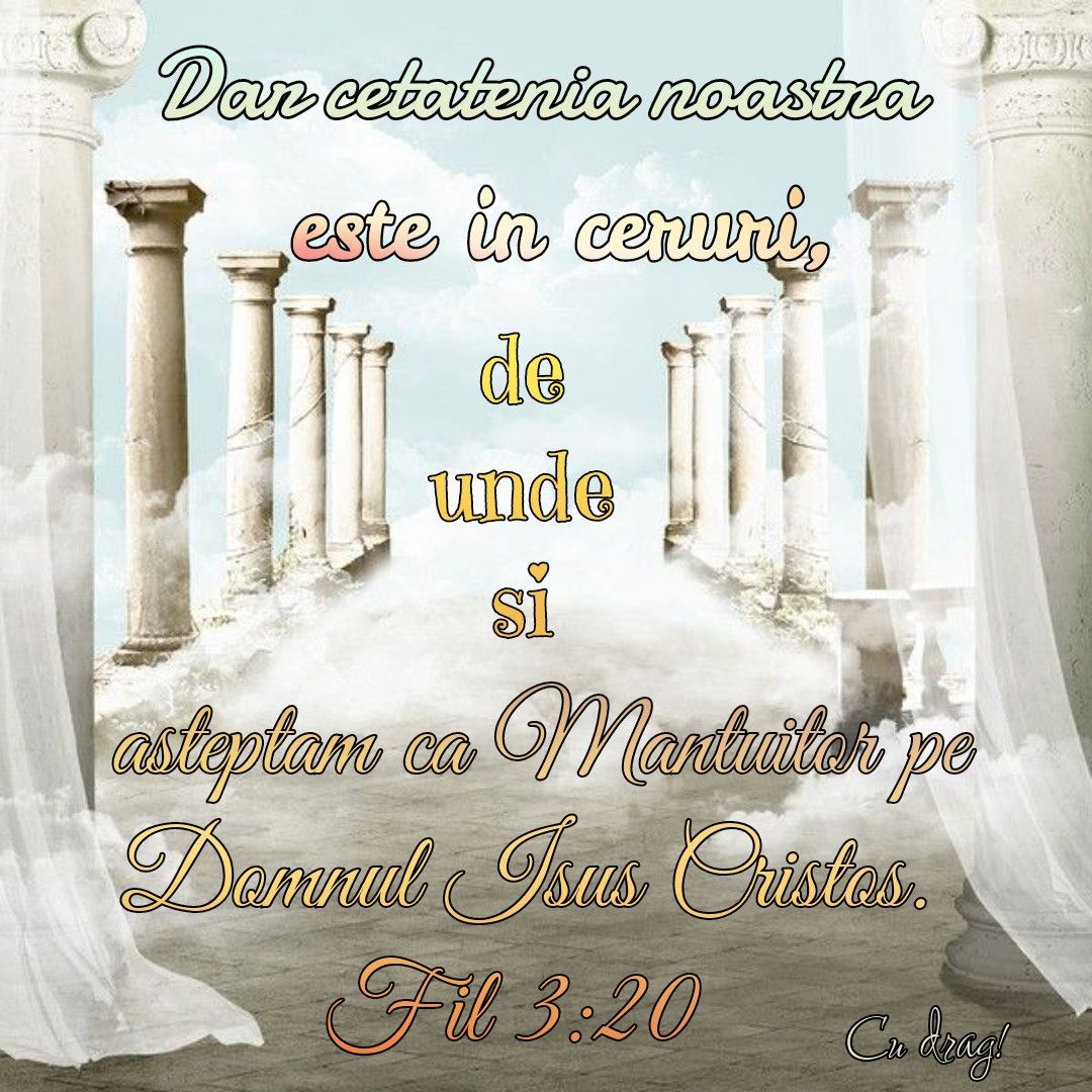 Verset (25)