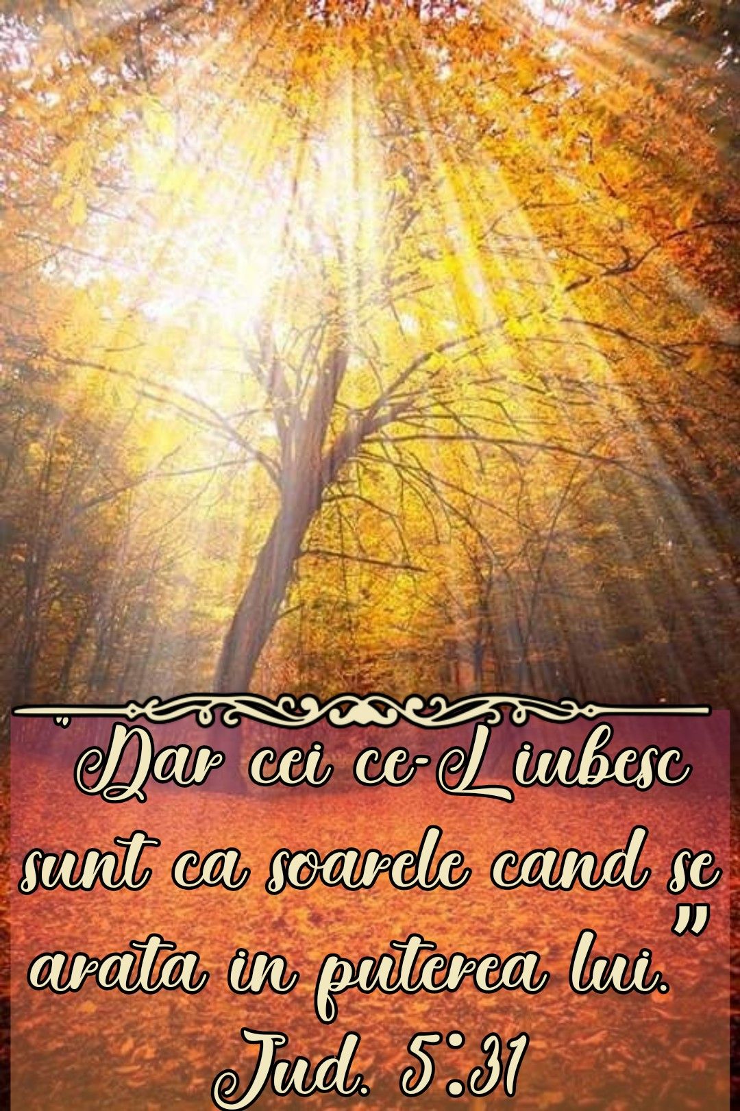 Verset (27)