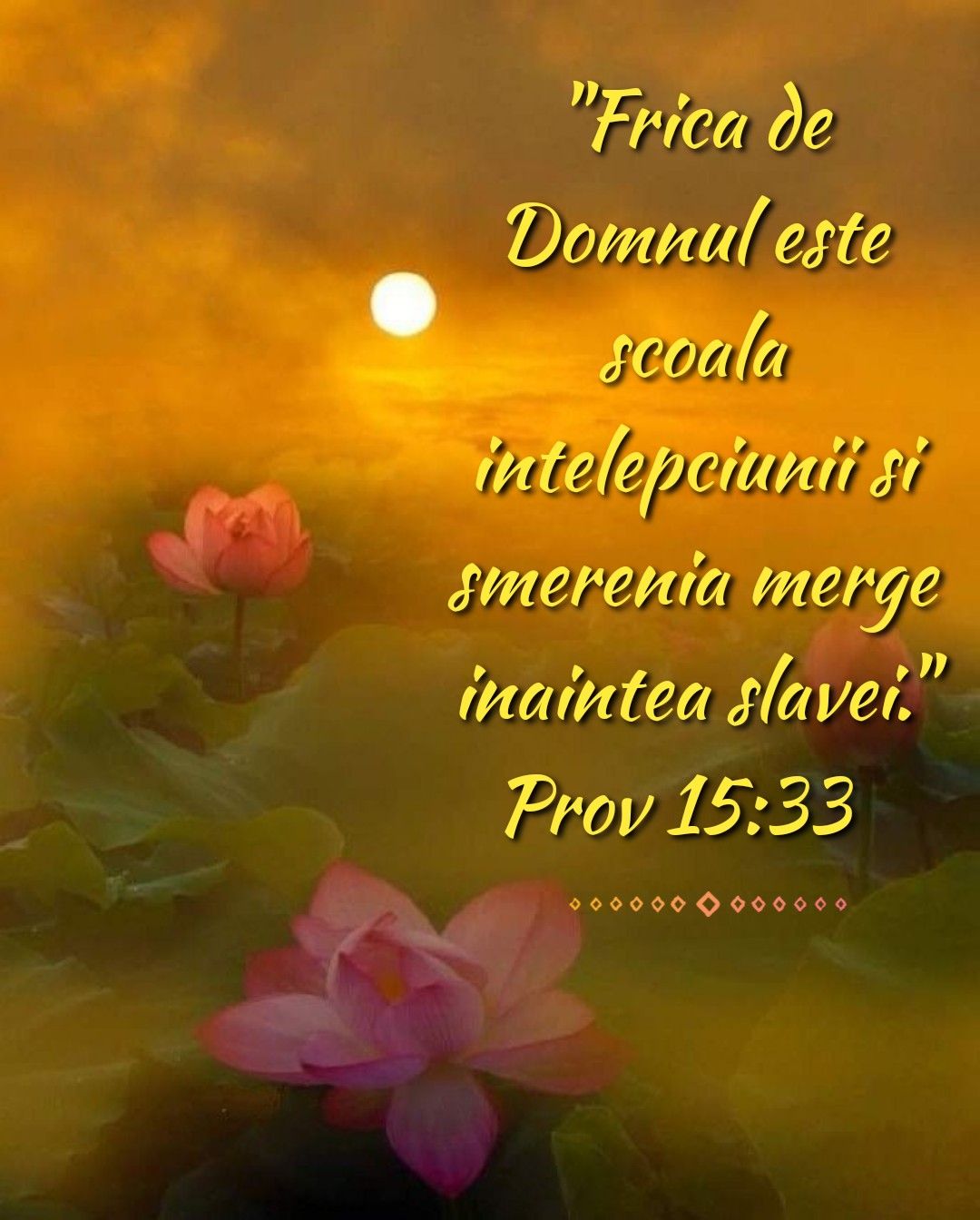 Verset (33)