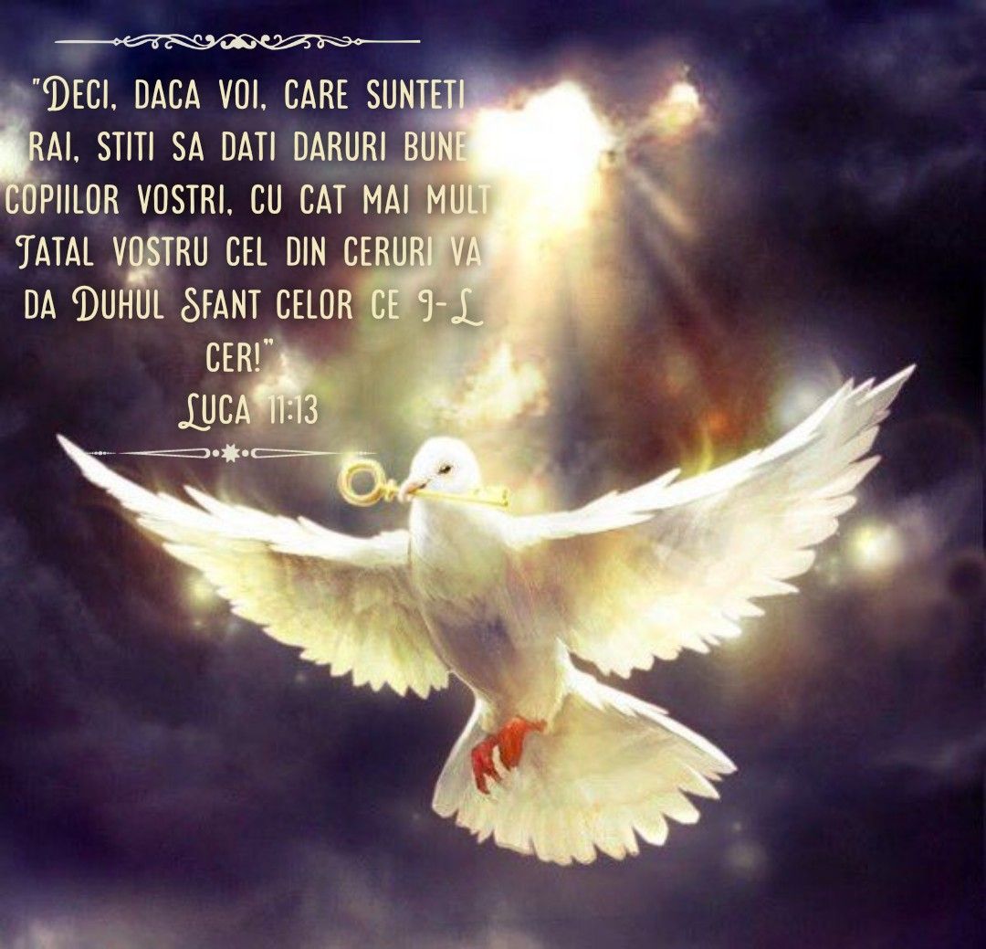 Verset (35)