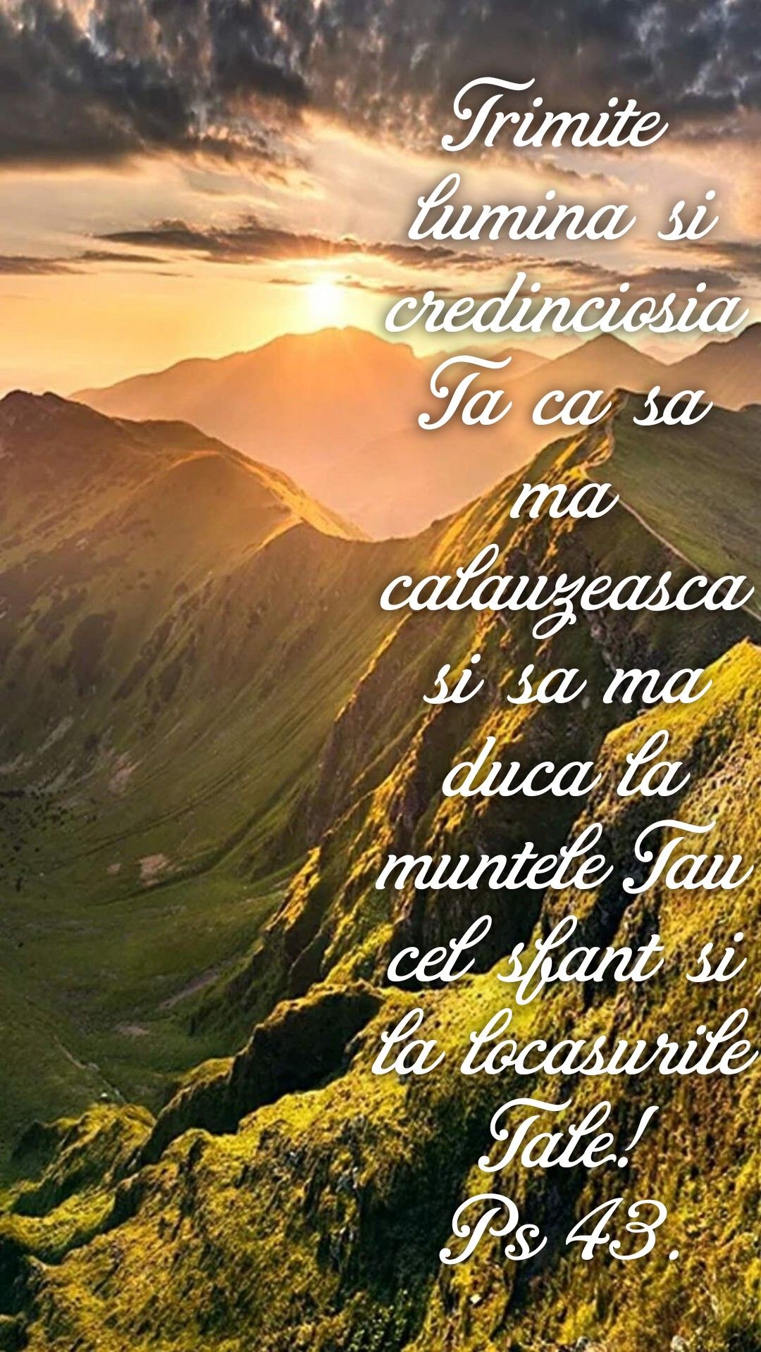 Verset (42)