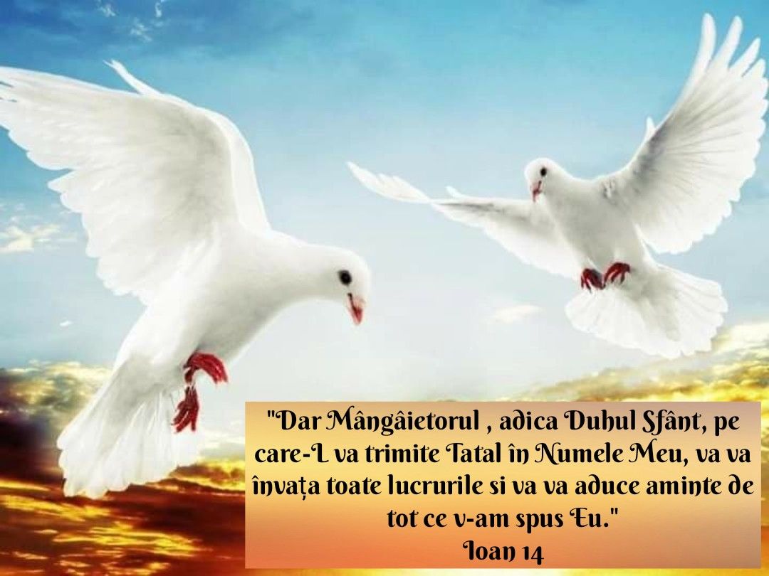Verset (48)