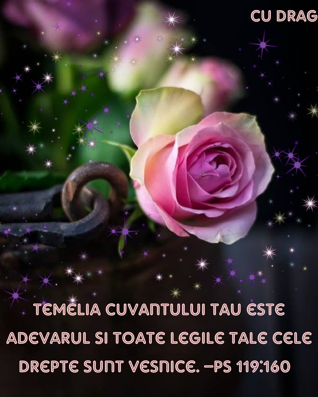 Verset (7)