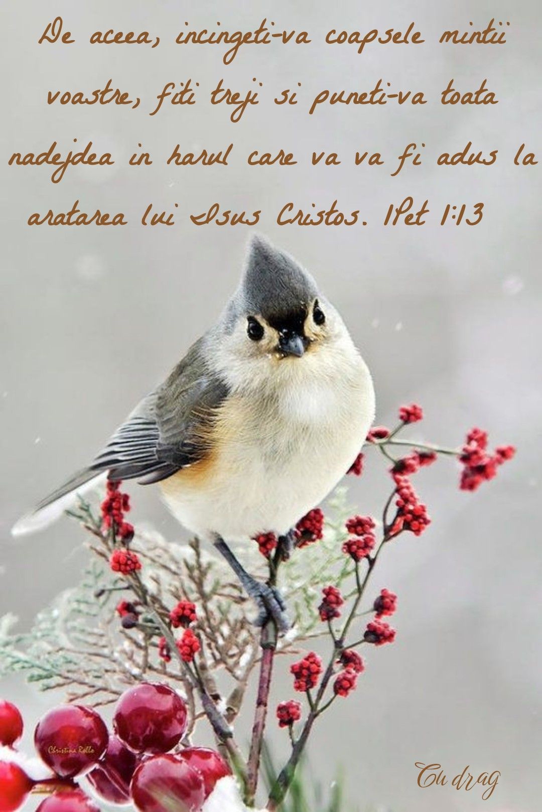 Verset 1 Petru (1)