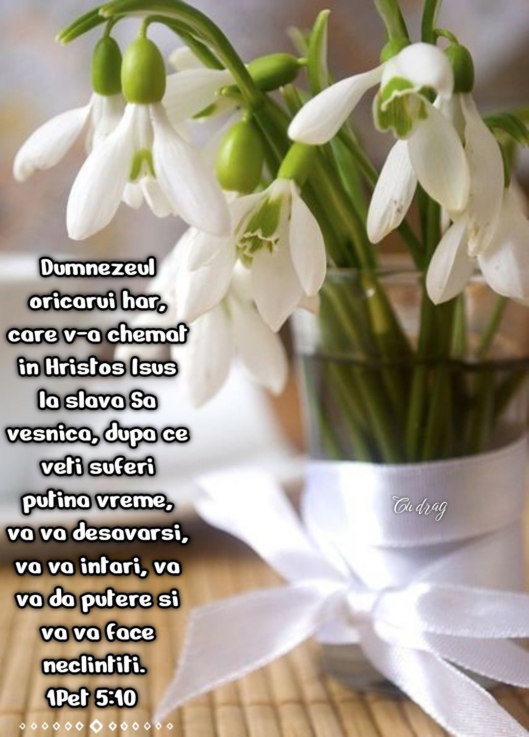 Verset 1 Petru