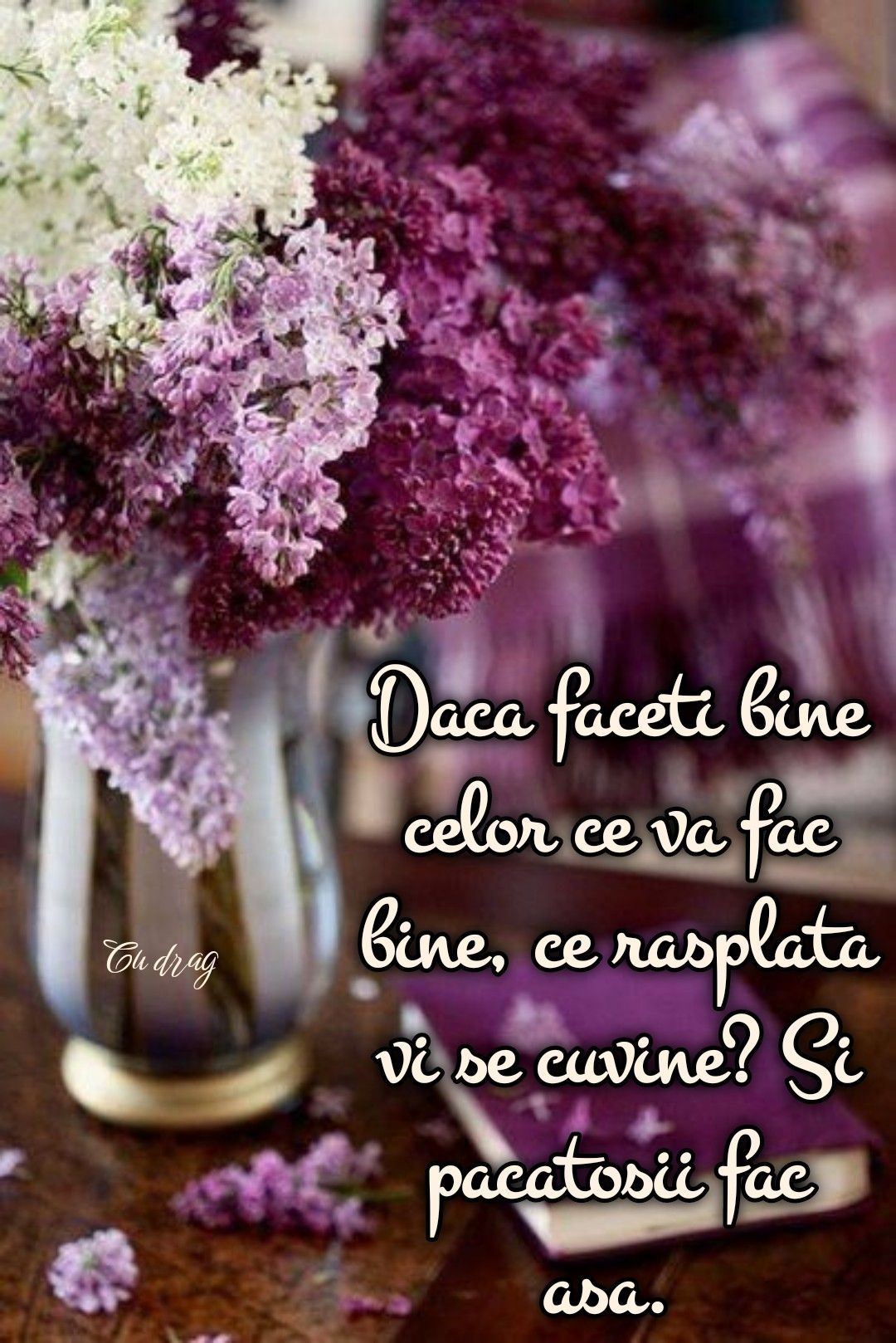 Verset Biblie (1)
