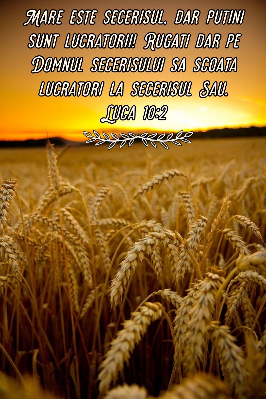 Verset Biblie (10)