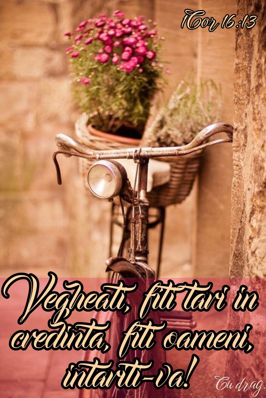 Verset Biblie (3)
