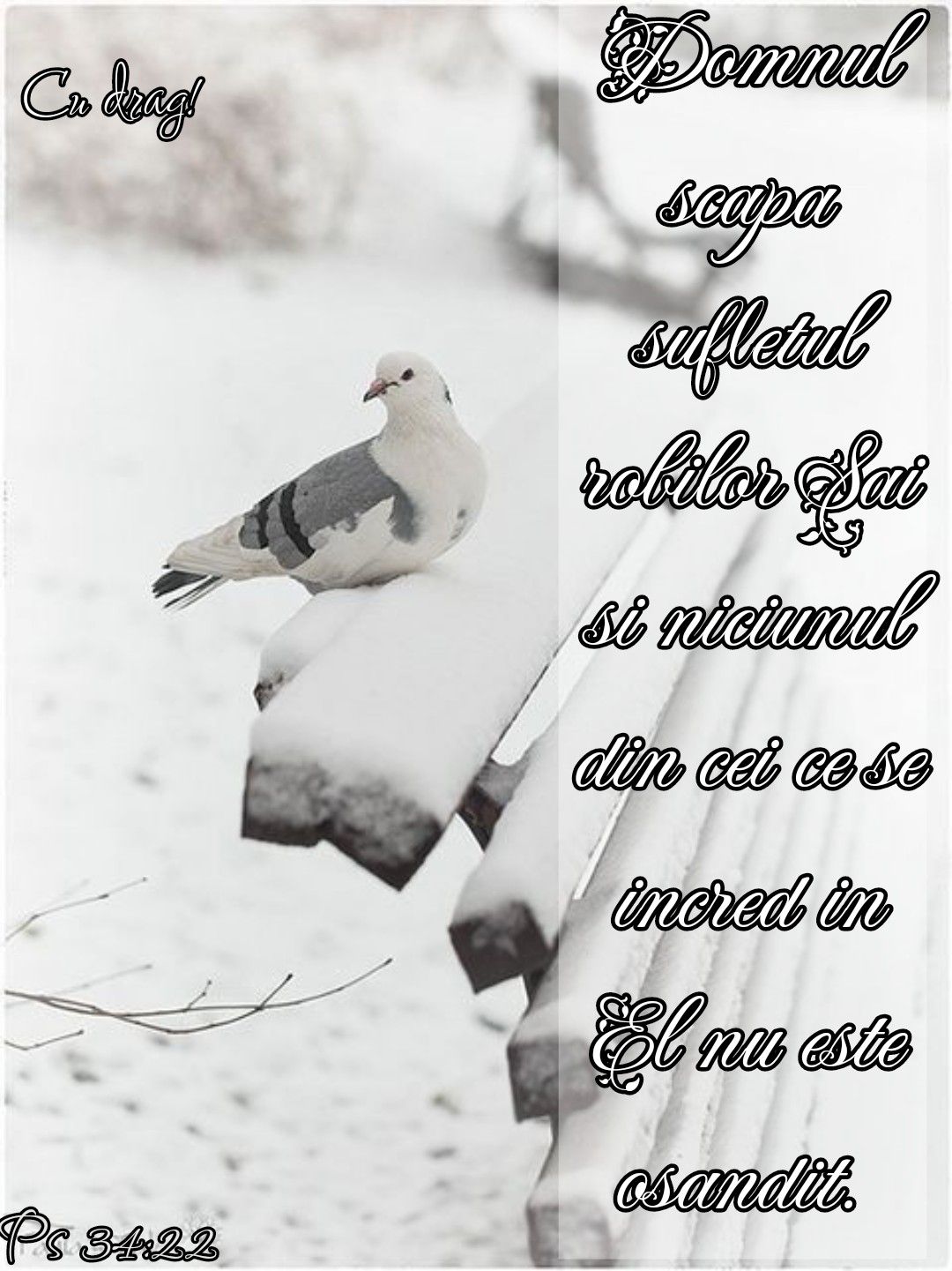 Verset Ps (1)
