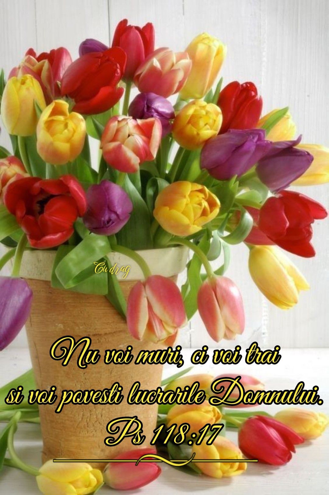 Verset Psalm 118