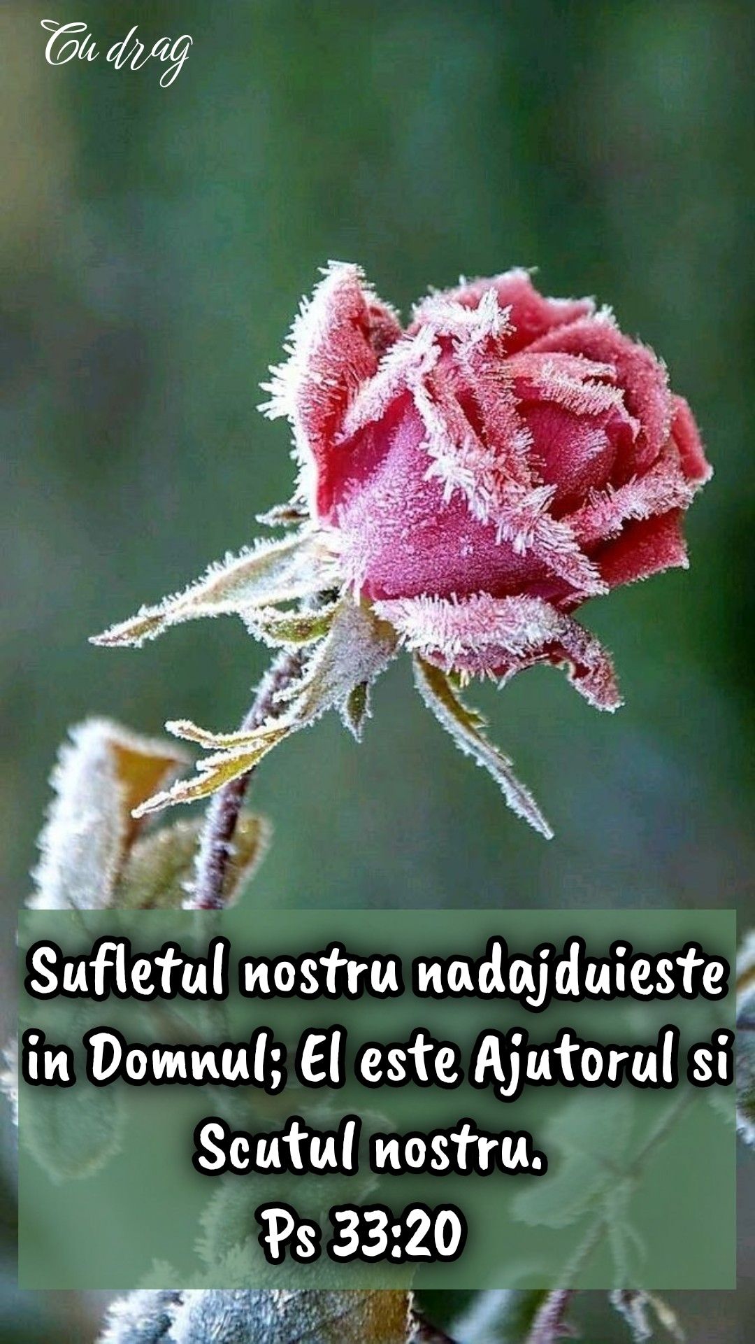 Verset Psalm 33 (1)