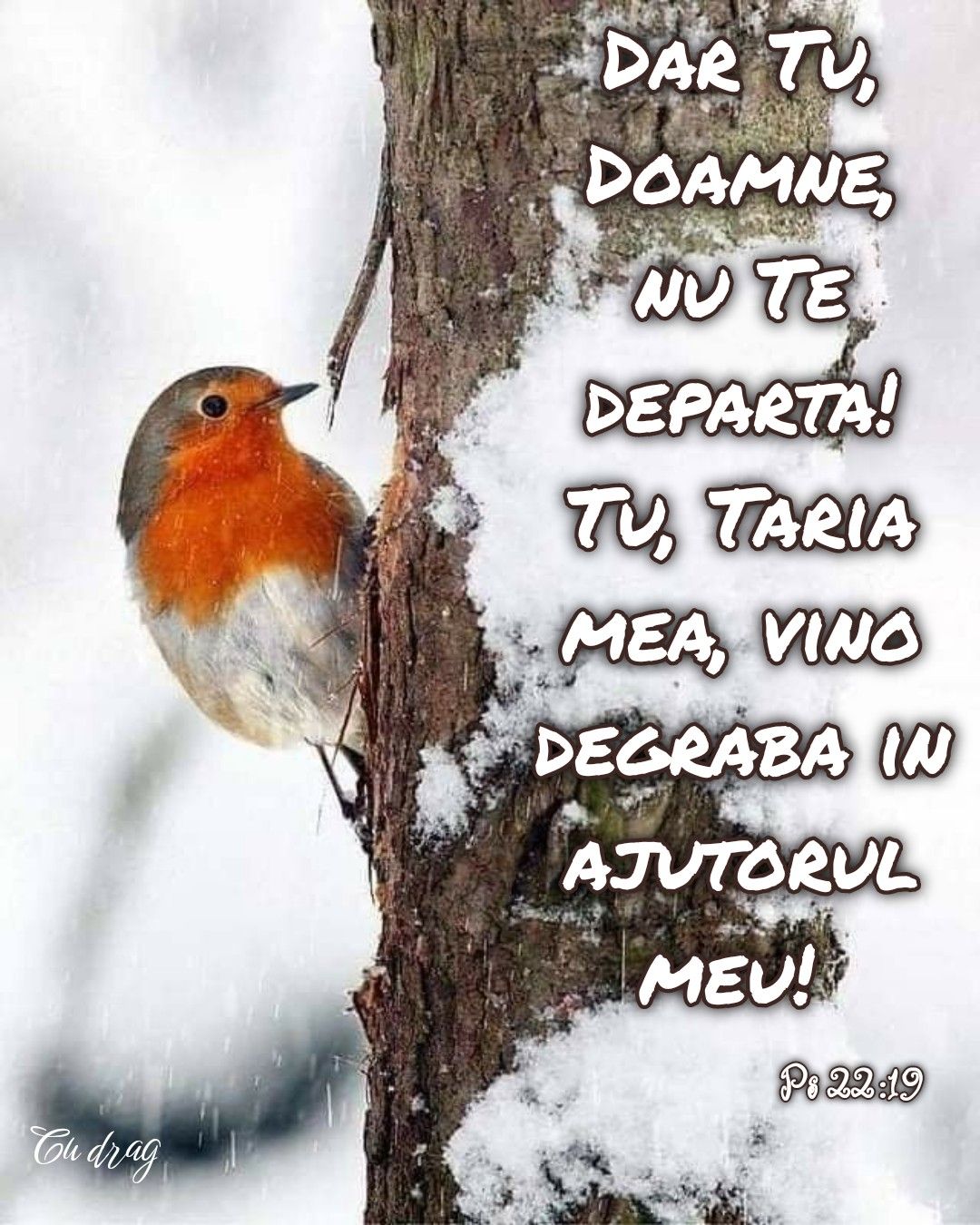Verset Psalmi (2)