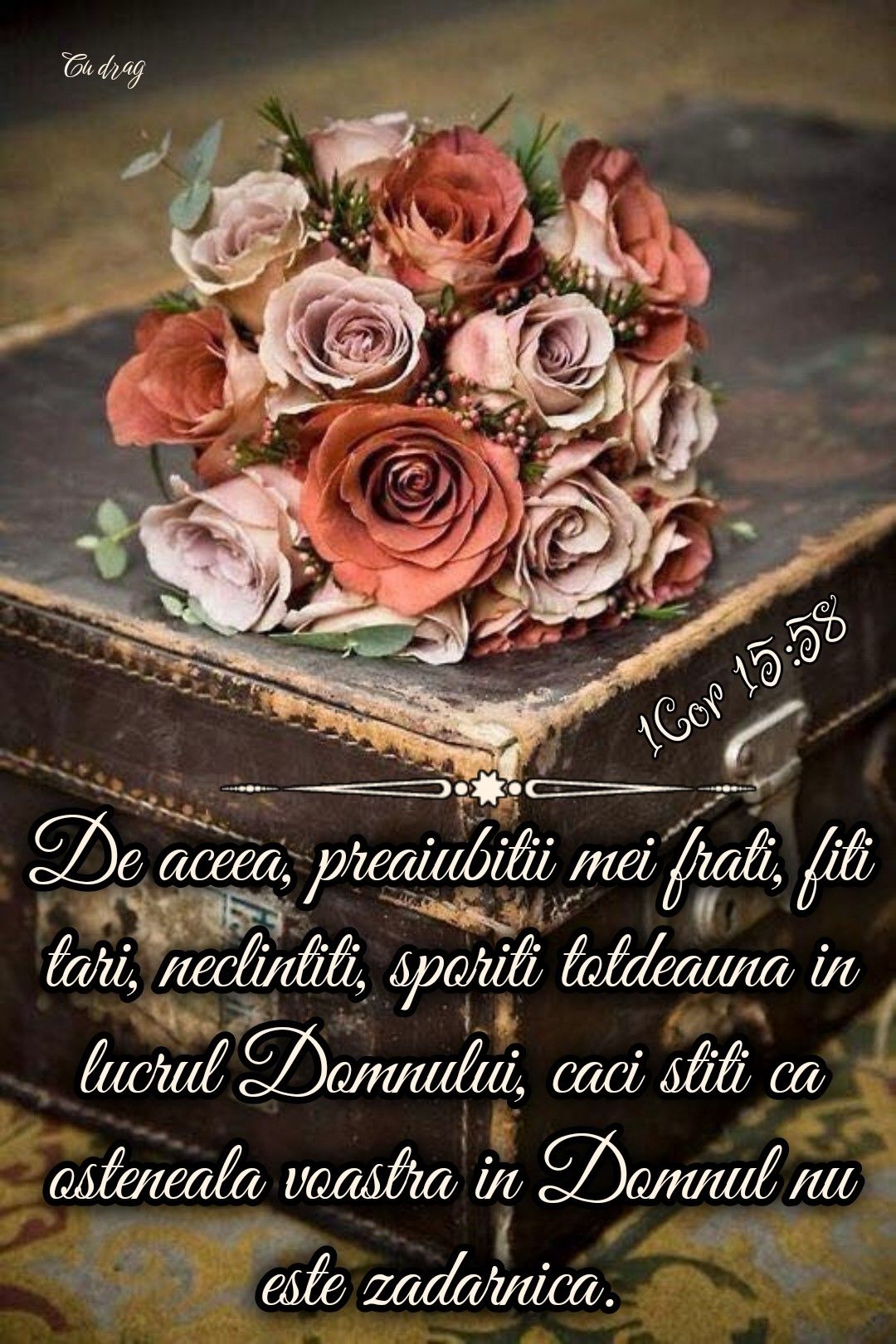 Verset biblic
