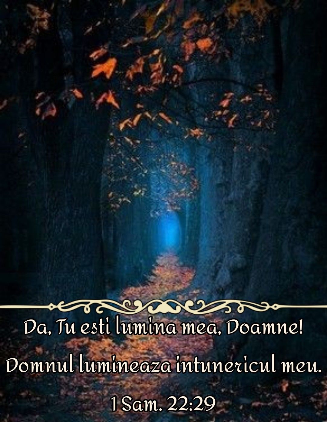 Verset lumina Sa