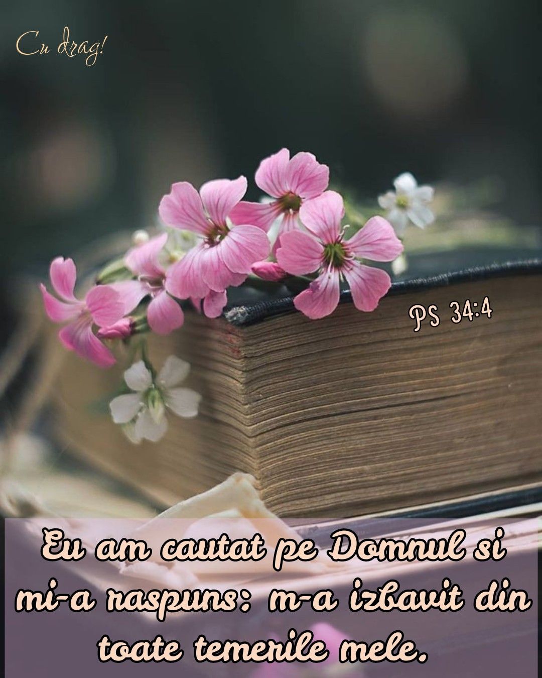 Verset psalmi (10)