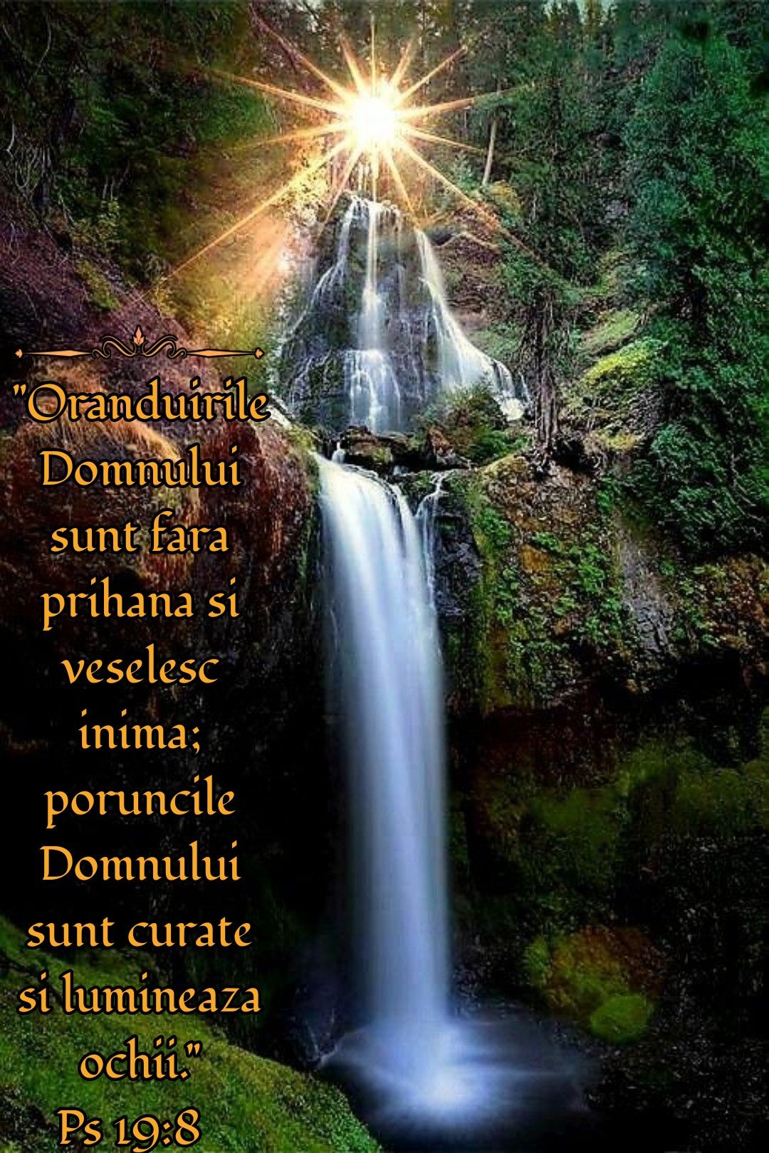 Verset psalmi (20)