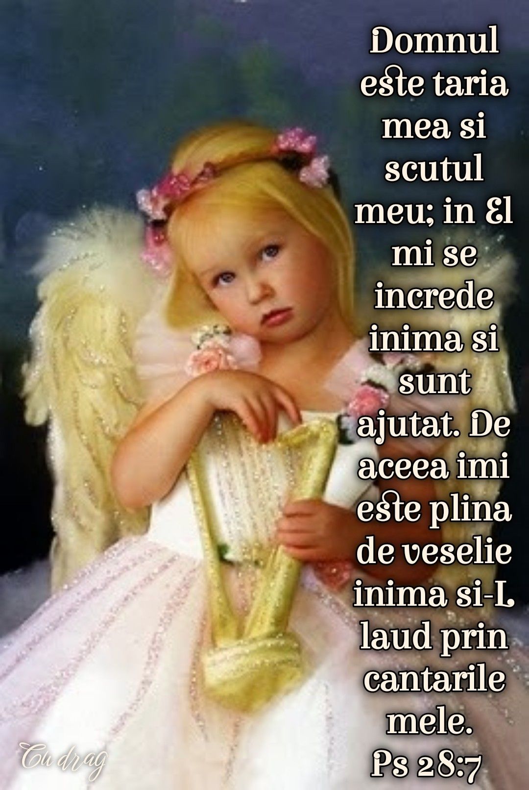 Taria mea, Domnul