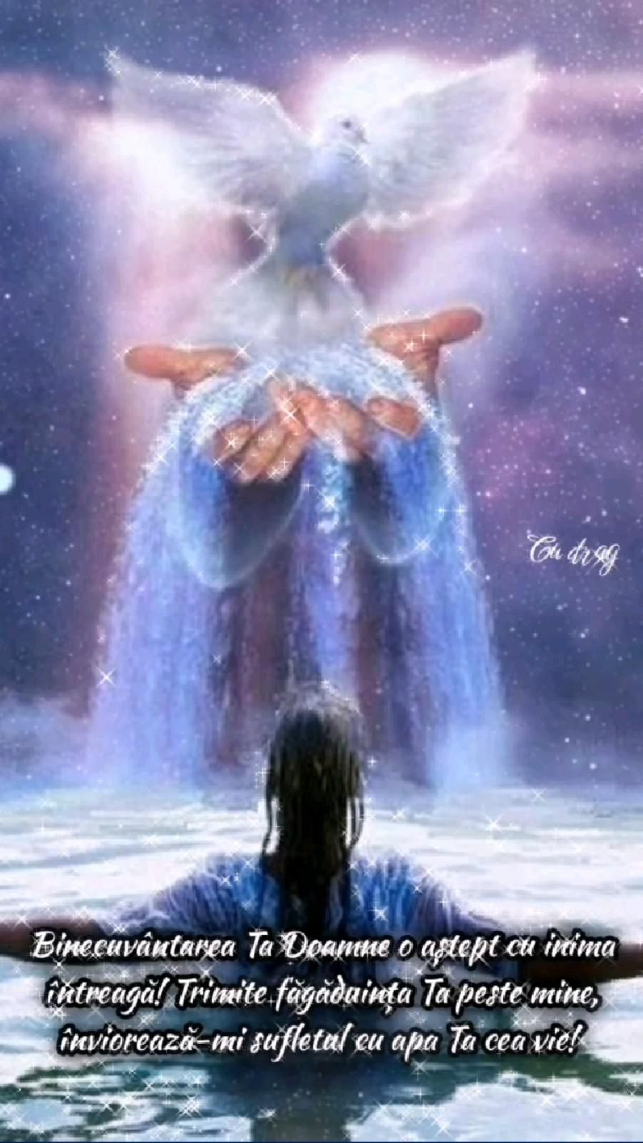 5. Făgăduința Tatălui