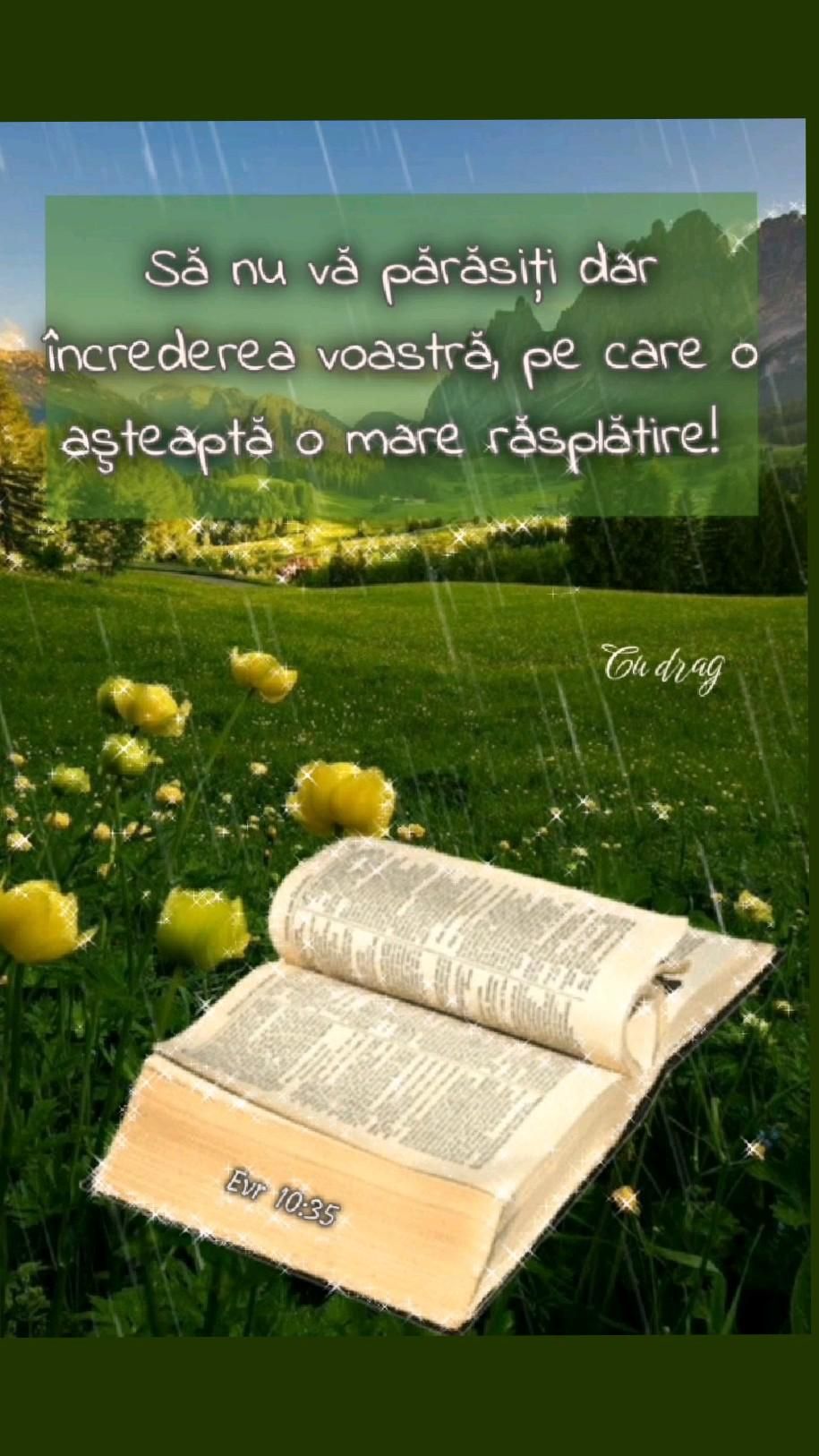 8. Verset încredere 1