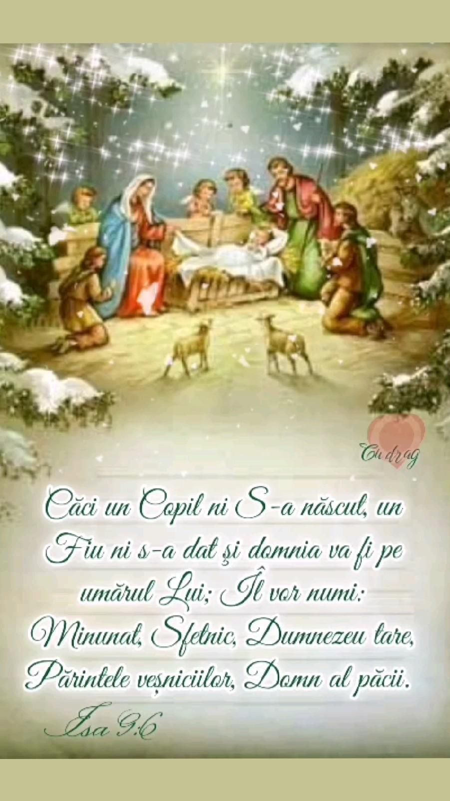 2. Nașterea Domnului (2)